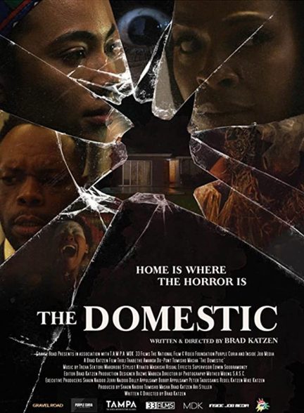دانلود فیلم The Domestic 2022